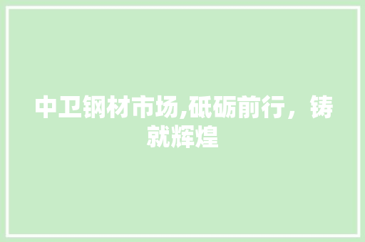 中卫钢材市场,砥砺前行，铸就辉煌
