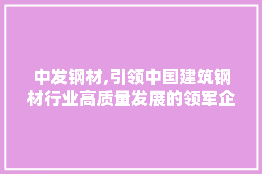 中发钢材,引领中国建筑钢材行业高质量发展的领军企业