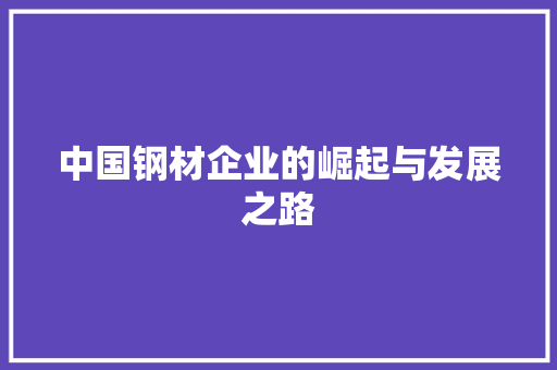 中国钢材企业的崛起与发展之路