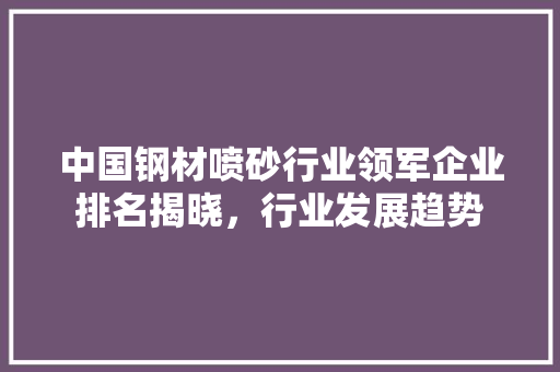 中国钢材喷砂行业领军企业排名揭晓，行业发展趋势