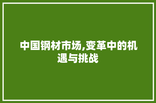 中国钢材市场,变革中的机遇与挑战