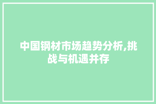 中国钢材市场趋势分析,挑战与机遇并存