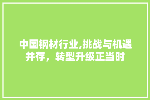 中国钢材行业,挑战与机遇并存，转型升级正当时