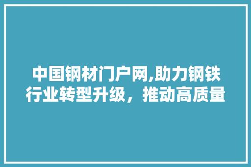 中国钢材门户网,助力钢铁行业转型升级，推动高质量发展