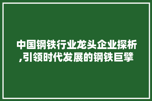 中国钢铁行业龙头企业探析,引领时代发展的钢铁巨擘