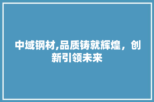 中域钢材,品质铸就辉煌，创新引领未来