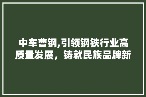 中车曹钢,引领钢铁行业高质量发展，铸就民族品牌新辉煌