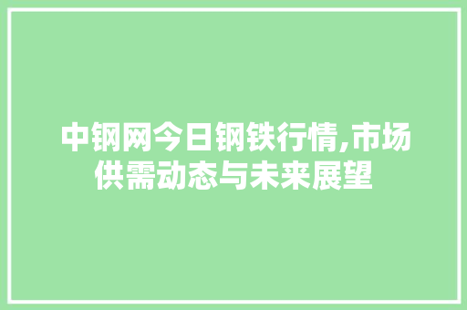 中钢网今日钢铁行情,市场供需动态与未来展望