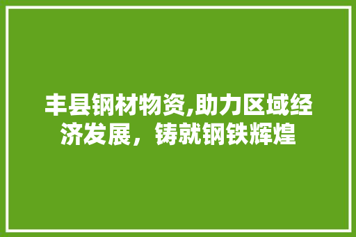 丰县钢材物资,助力区域经济发展，铸就钢铁辉煌
