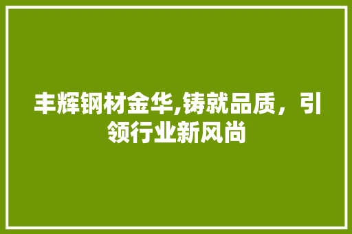 丰辉钢材金华,铸就品质，引领行业新风尚