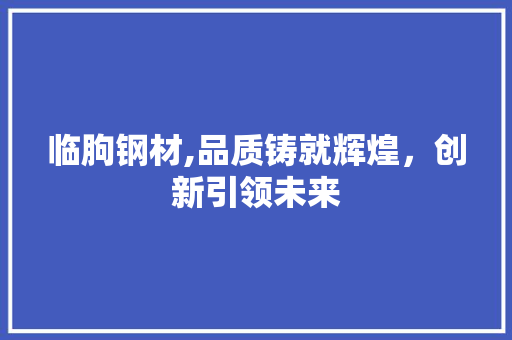 临朐钢材,品质铸就辉煌，创新引领未来