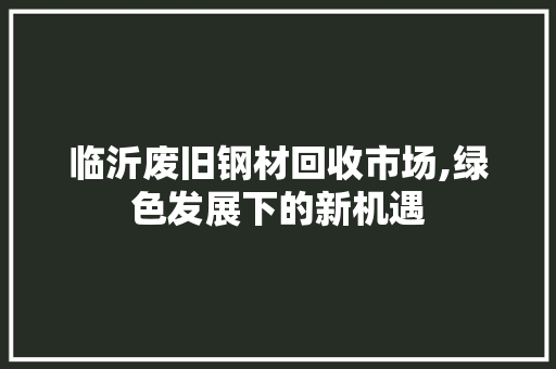 临沂废旧钢材回收市场,绿色发展下的新机遇