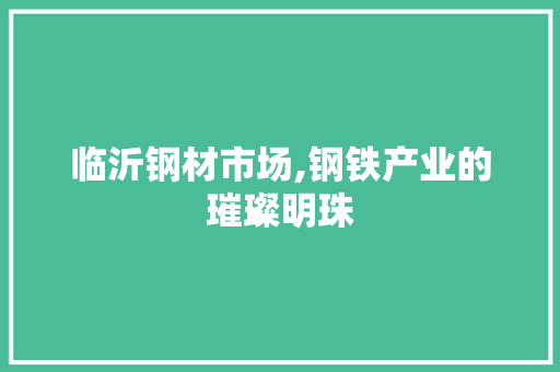 临沂钢材市场,钢铁产业的璀璨明珠