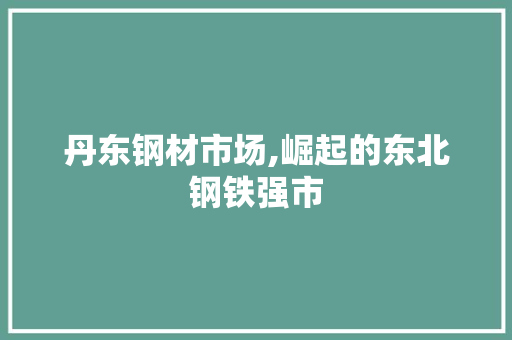 丹东钢材市场,崛起的东北钢铁强市