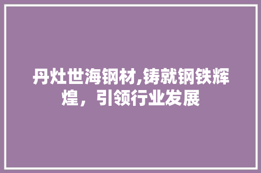 丹灶世海钢材,铸就钢铁辉煌，引领行业发展