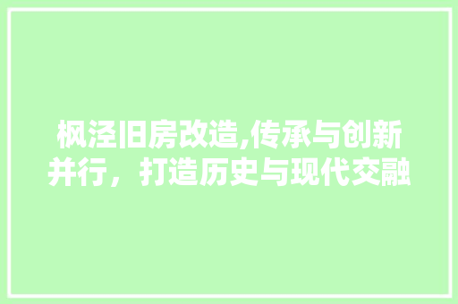 枫泾旧房改造,传承与创新并行，打造历史与现代交融的居住典范