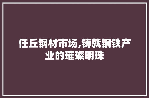 任丘钢材市场,铸就钢铁产业的璀璨明珠