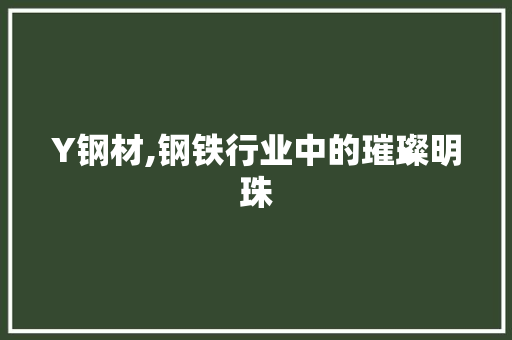 Y钢材,钢铁行业中的璀璨明珠