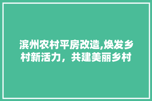 滨州农村平房改造,焕发乡村新活力，共建美丽乡村
