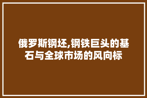 俄罗斯钢坯,钢铁巨头的基石与全球市场的风向标
