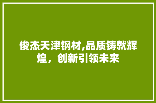 俊杰天津钢材,品质铸就辉煌，创新引领未来