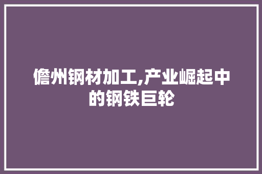 儋州钢材加工,产业崛起中的钢铁巨轮