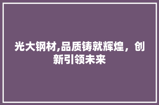 光大钢材,品质铸就辉煌，创新引领未来