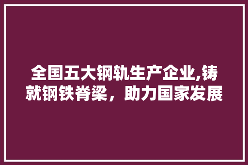 全国五大钢轨生产企业,铸就钢铁脊梁，助力国家发展