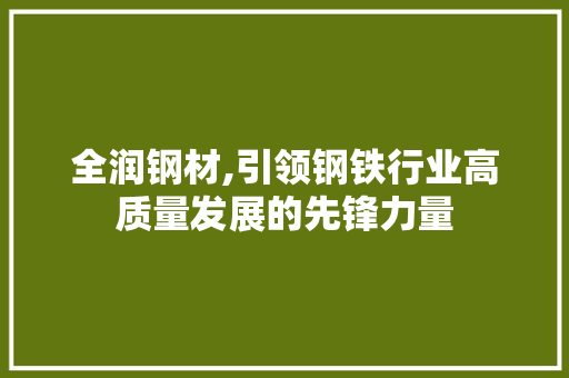 全润钢材,引领钢铁行业高质量发展的先锋力量