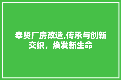 奉贤厂房改造,传承与创新交织，焕发新生命
