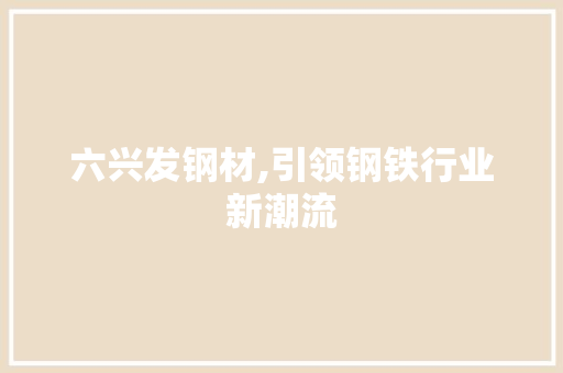 六兴发钢材,引领钢铁行业新潮流