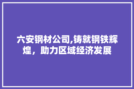 六安钢材公司,铸就钢铁辉煌，助力区域经济发展
