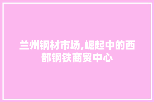 兰州钢材市场,崛起中的西部钢铁商贸中心