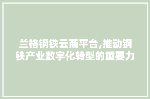 兰格钢铁云商平台,推动钢铁产业数字化转型的重要力量