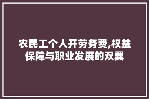 农民工个人开劳务费,权益保障与职业发展的双翼