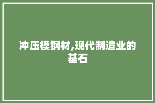 冲压模钢材,现代制造业的基石