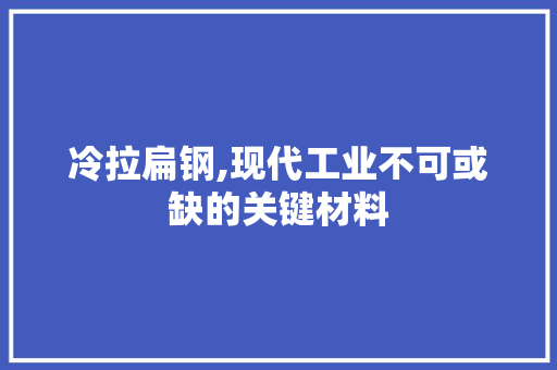 冷拉扁钢,现代工业不可或缺的关键材料