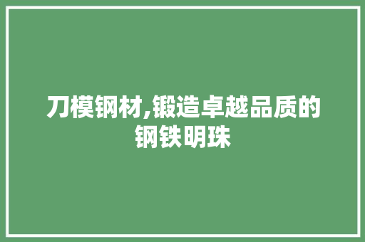 刀模钢材,锻造卓越品质的钢铁明珠