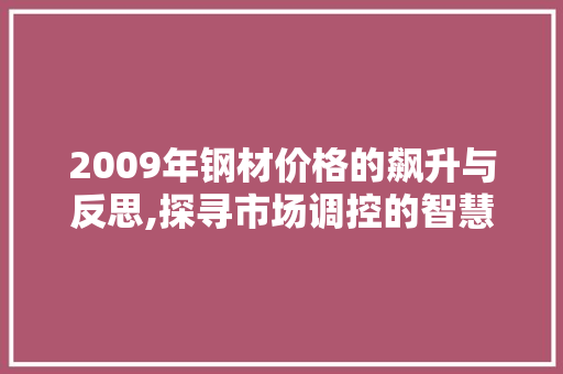 2009年钢材价格的飙升与反思,探寻市场调控的智慧之路
