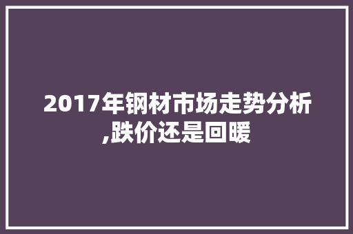 2017年钢材市场走势分析,跌价还是回暖