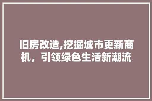 旧房改造,挖掘城市更新商机，引领绿色生活新潮流