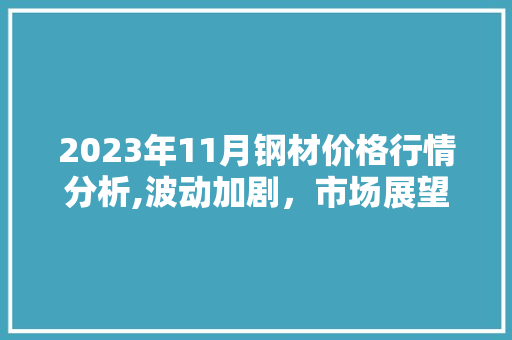 2023年11月钢材价格行情分析,波动加剧，市场展望