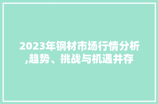 2023年钢材市场行情分析,趋势、挑战与机遇并存