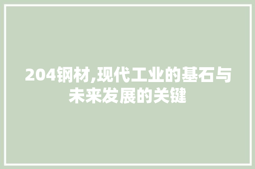 204钢材,现代工业的基石与未来发展的关键