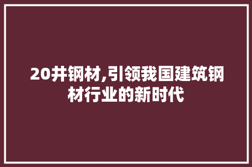 20井钢材,引领我国建筑钢材行业的新时代