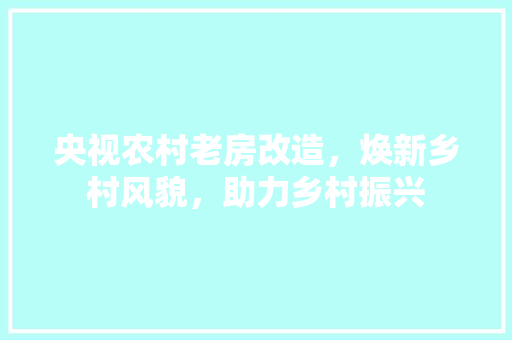 央视农村老房改造，焕新乡村风貌，助力乡村振兴