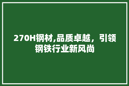 270H钢材,品质卓越，引领钢铁行业新风尚