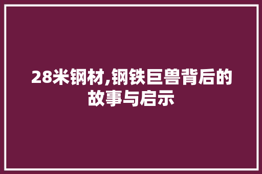 28米钢材,钢铁巨兽背后的故事与启示