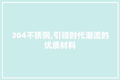 304不锈钢,引领时代潮流的优质材料