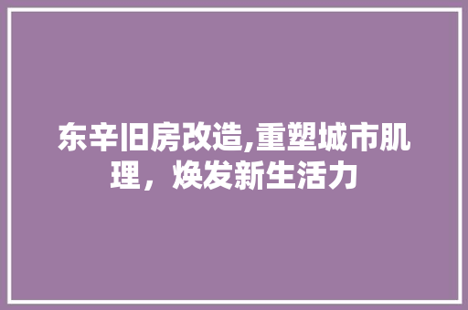 东辛旧房改造,重塑城市肌理，焕发新生活力